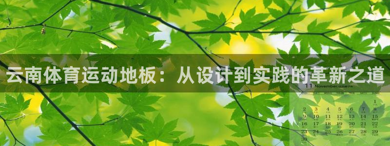 双赢平台2官网