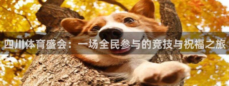 双赢平台vk