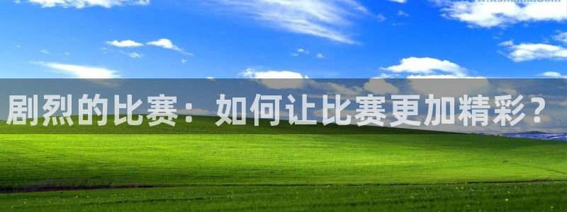 双赢平台体育合法嘛