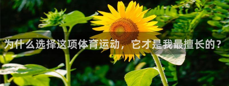 意昂4登录