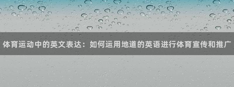 双赢平台体育注册登录入口