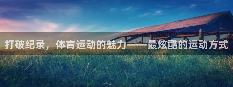 双赢平台集团股票